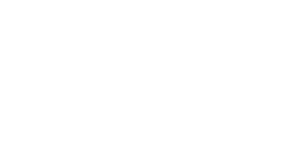 bloom and blossom